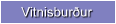 Vitnisbur�ur