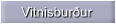 Vitnisbur�ur
