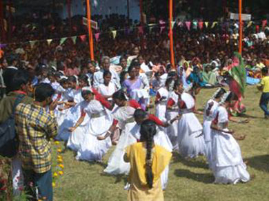 Pageantry of the colorful dance