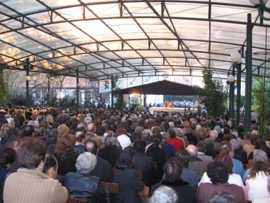 Portuguese Audience
