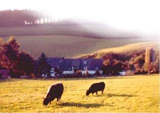 Fields Surrounding Farm in Germany 